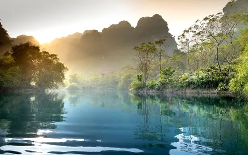 节能全自动高端